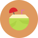 bebida de coco icon