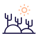 desierto icon