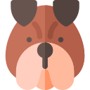 Buldog icon