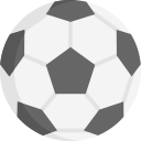 Pelota de fútbol icon