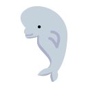 beluga icon