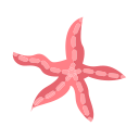 estrella de mar icon