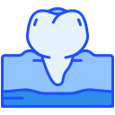 premolar icon