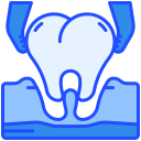 extracción dental icon