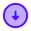 flecha icon