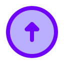 flecha icon