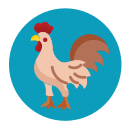 gallo 