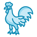 gallo icon