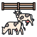 vaca icon