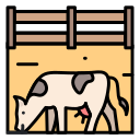 vaca icon