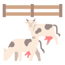 vaca icon