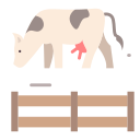 vaca icon