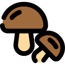 champiñón icon