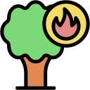 incendio forestal icon