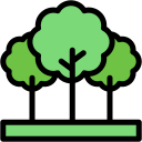 bosque icon