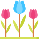 Tulipanes icon