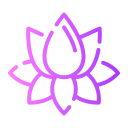 цветок лотоса 