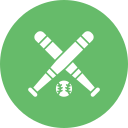 béisbol icon