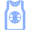 jersey icon