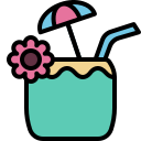 bebida de coco icon