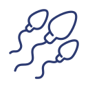 espermatozoides icon