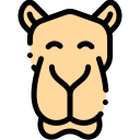 Camello icon