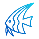 peixe tropical 