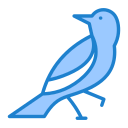 pájaro icon