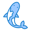 koi icon