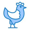 pollo icon