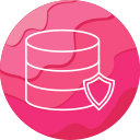 protección de datos icon