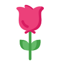 rosa icon