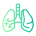 pulmones icon