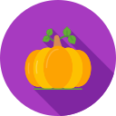 calabaza icon