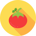 tomate icon