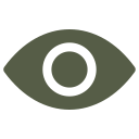 ojo icon