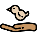 pájaro icon