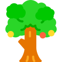 árbol