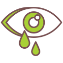 ojo icon