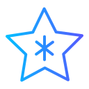 estrella icon