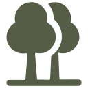 Árbol icon