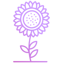 girasol icon