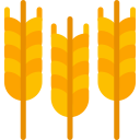 Wheat icon