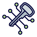 llave digital icon