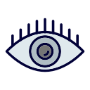 ojo icon