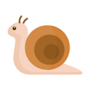 caracol icon