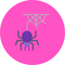 araña icon