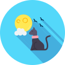 gato negro icon