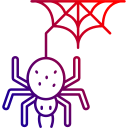 araña icon