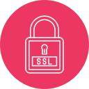 ssl icon